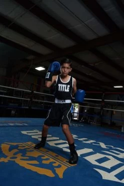 TITLE Boxing USA Boxing Competition Gloves - Elastic -Boxing Shop ACGESBL 1