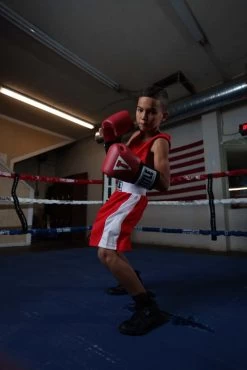 TITLE Boxing USA Boxing Competition Gloves - Elastic -Boxing Shop ACGESRD 3