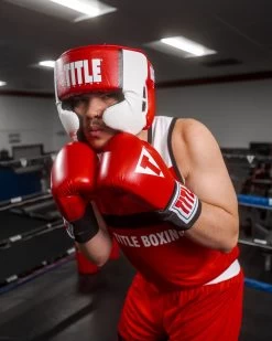 TITLE Boxing Aerovent Elite USA Boxing Competition Headgear – With Cheeks 28 TITLE Boxing Aerovent Elite USA Boxing Competition Headgear – With Cheeks -Boxing Shop ACHEXRD 1