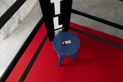 TITLE Boxing Professional Training Ring -Boxing Shop BNDL24 5