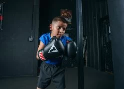 TITLE Classic Boxing Gloves -Boxing Shop CABGBKRD 3