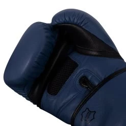 TITLE Boxing Dauntless Training Gloves -Boxing Shop DNTTG BL BK 5