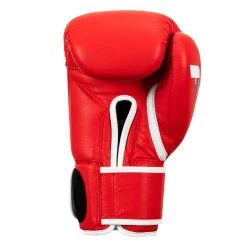 Fighting Fury Professional Training Gloves -Boxing Shop FSFTGE RD 04