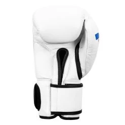 Fighting Fury Professional Training Gloves -Boxing Shop FSFTGE WH 04