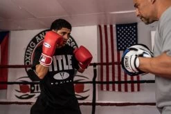 Fighting Fury Professional Training Gloves -Boxing Shop FSFTGERD 2