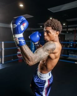 Fighting Fearless Certified Pro Fight Gloves II -Boxing Shop FSPFG2BL 1