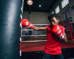 Fighting Fearless Certified Pro Fight Gloves II -Boxing Shop FSPFG2RD 1