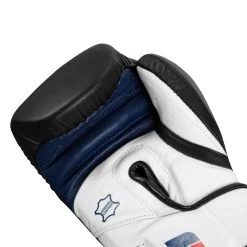 Fighting Ferocity Leather Bag Gloves -Boxing Shop FTGBG BK WH BL 5