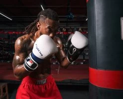 Fighting Ferocity Leather Bag Gloves -Boxing Shop FTGBGWHBLRD 3