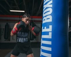 TITLE Boxing Guts And Glory Bag Gloves -Boxing Shop GGBGBKRD 1