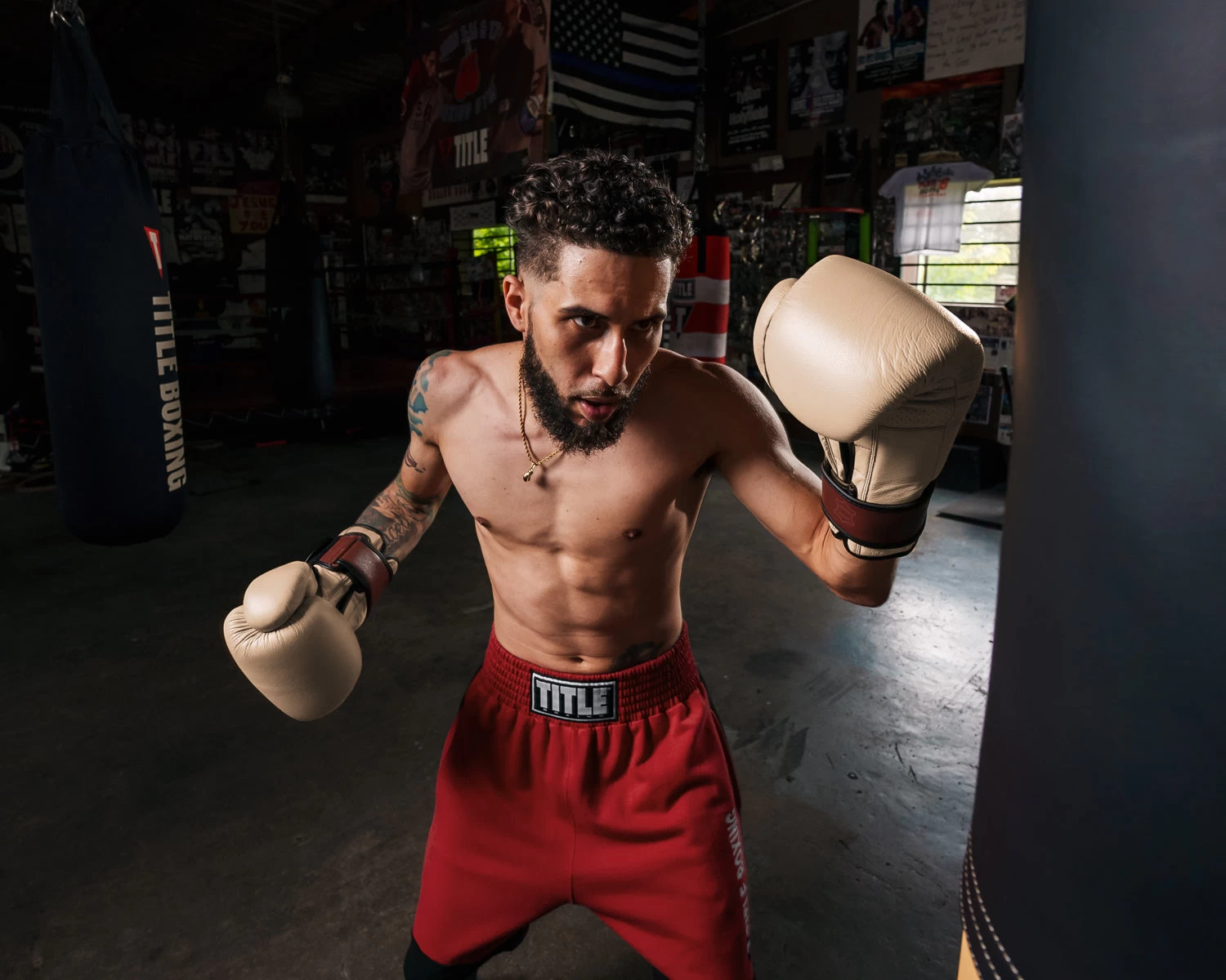 TITLE Boxing Honorary Bag Gloves 17 TITLE Boxing Honorary Bag Gloves - Image 17