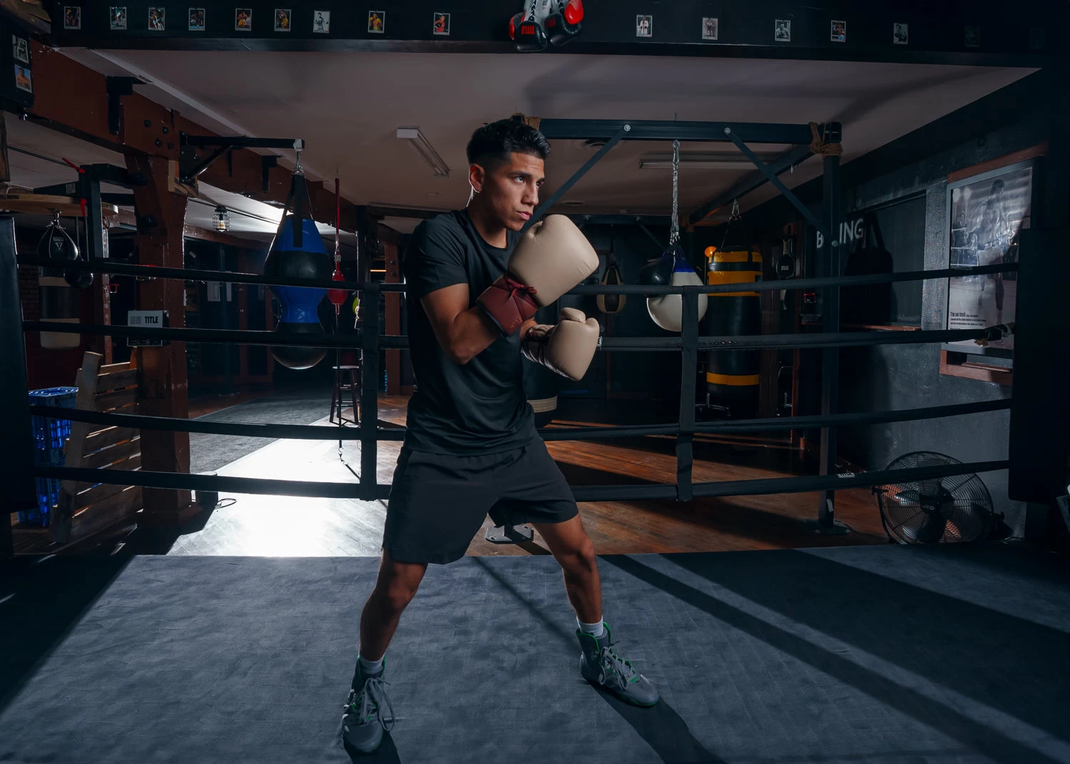 TITLE Boxing Honorary Sparring Gloves 10 TITLE Boxing Honorary Sparring Gloves - Image 10