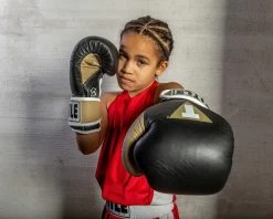 TITLE Boxing Gel World V2T Bag Gloves 38 TITLE Boxing Gel World V2T Bag Gloves -Boxing Shop GTWBGV2T BK GD WH