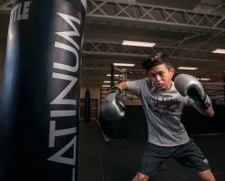 TITLE Platinum Prolific Training Gloves -Boxing Shop PLTGSVBK 1 1