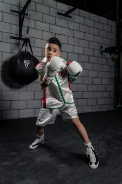 TITLE Boxing Sleeveless Ring Vest -Boxing Shop SSTVWH RD GN