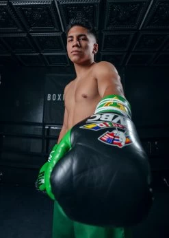 WBC By TITLE Boxing Pro Fight Leather Gloves -Boxing Shop WBCPFGBKGR 2 ab29706f 2253 45b7 97f4 329ca80aef0f