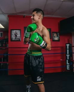 WBC By TITLE Boxing Pro Fight Leather Gloves -Boxing Shop WBCPFGGRBK 1