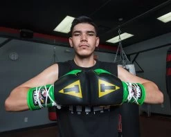 WBC By TITLE Boxing Sparring Gloves -Boxing Shop WBCSGBKGNGD 2