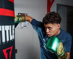 WBC By TITLE Boxing Green Belt Bag Gloves -Boxing Shop WGBBGGNGD 1