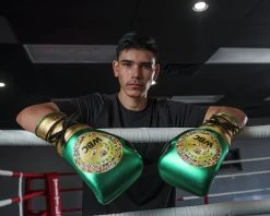 WBC By TITLE Boxing Green Belt Sparring Gloves -Boxing Shop WGBSGGDGNBK 2