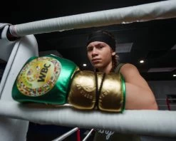 WBC By TITLE Boxing Green Belt Sparring Gloves -Boxing Shop WGBSGGNBK 2