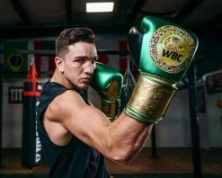 WBC By TITLE Boxing Green Belt Training Gloves 1.0 -Boxing Shop WGBTGGNGDBK 3