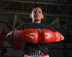 TITLE Classic Super Bag Gloves 2.0 -Boxing Shop csbg2 rd