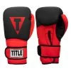 TITLE Boxing Guts And Glory Bag Gloves