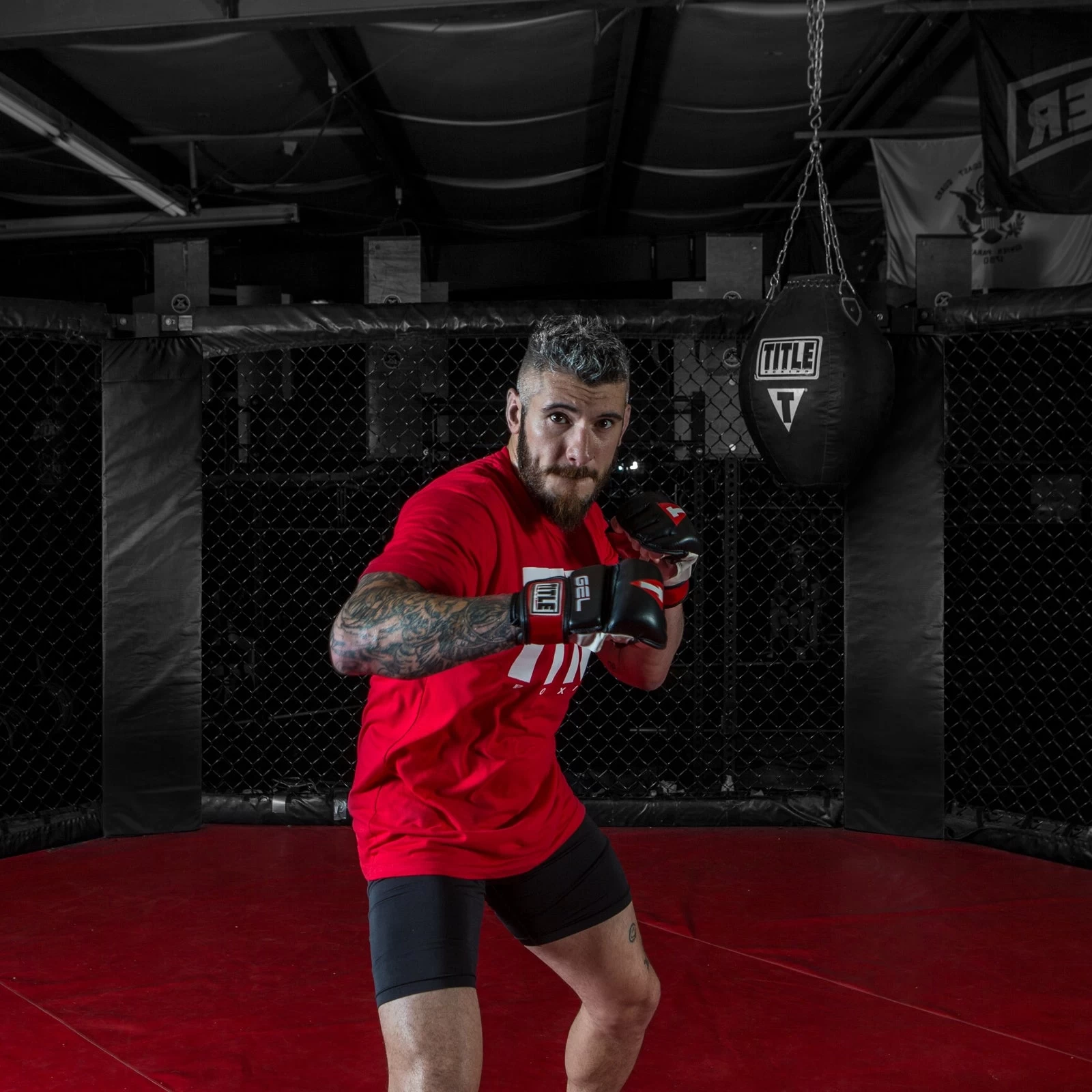 TITLE MMA Blank Cage Bumper Pad 2 TITLE MMA Blank Cage Bumper Pad - Image 2