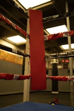 TITLE Boxing Blank Pro Corner Cushion V3.0 - Single -Boxing Shop osccb blank red 3