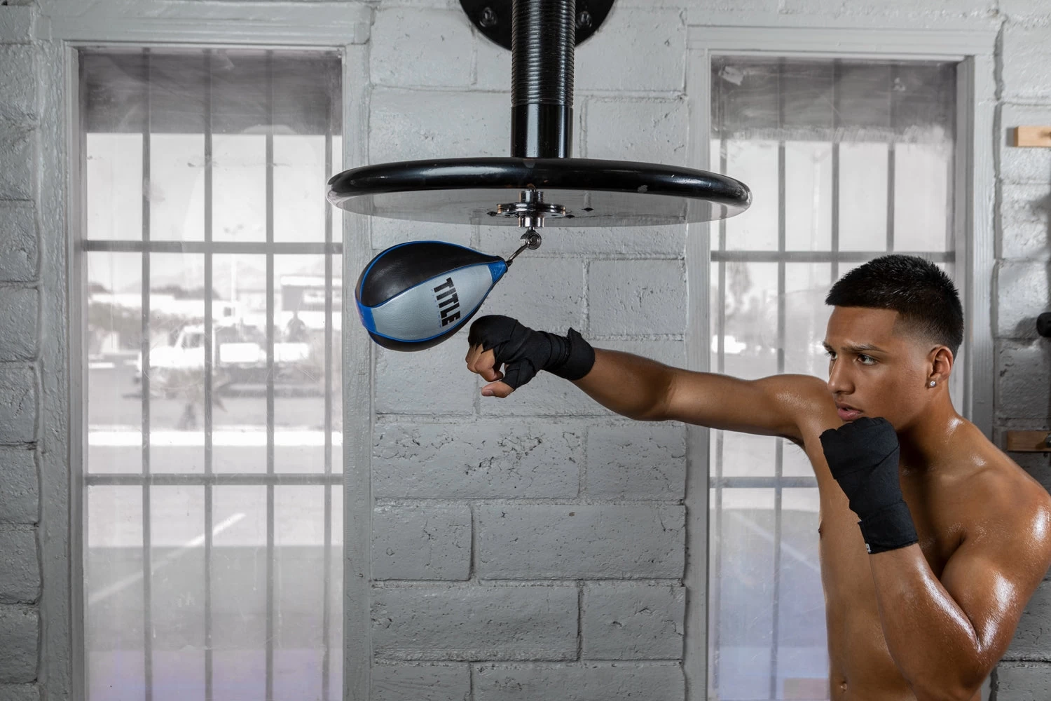 TITLE Platinum Perilous Speed Bag 2 TITLE Platinum Perilous Speed Bag - Image 2