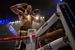 TITLE Boxing Ring Turnbuckle Covers -Boxing Shop prbc lifestyle 2