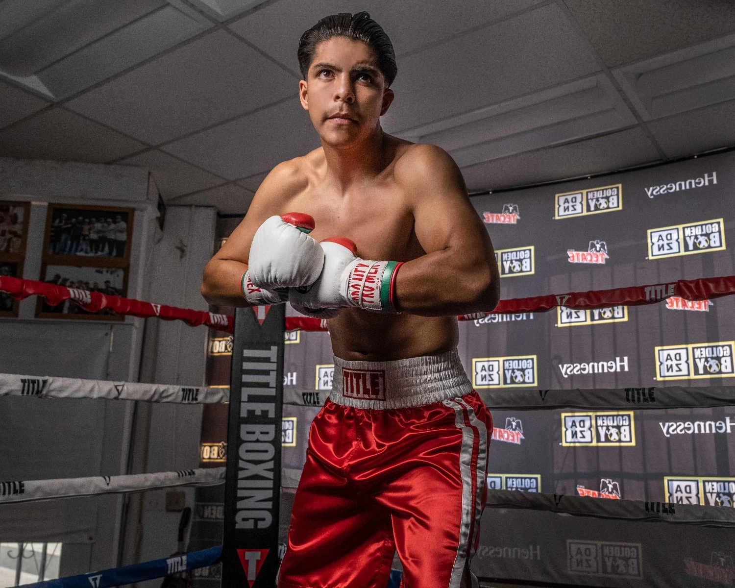 TITLE Boxing Pro Corner Cushions V3P – Set Of 4 4 TITLE Boxing Pro Corner Cushions V3P – Set Of 4 - Image 4