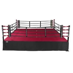 TITLE Boxing Professional Training Ring