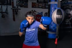 TITLE Boxing Royalty Leather Bag Gloves -Boxing Shop rybg