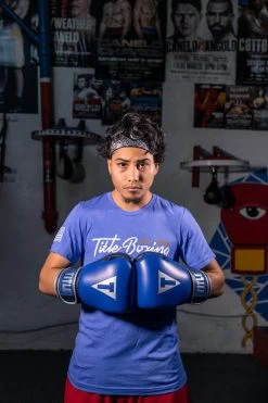 TITLE Boxing Royalty Leather Bag Gloves -Boxing Shop rybg 3