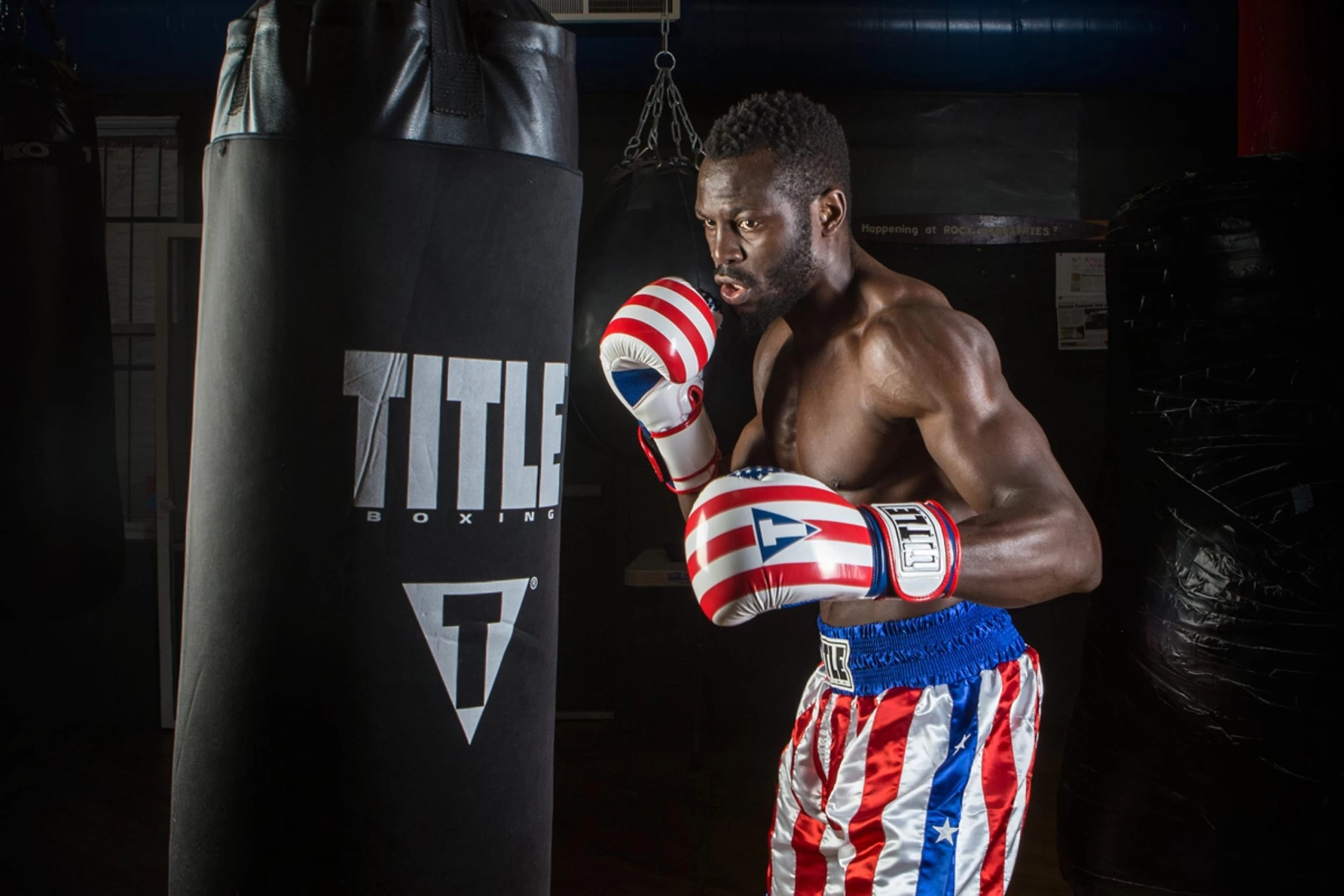 TITLE Boxing Infused Foam Combat USA Training Gloves 2 TITLE Boxing Infused Foam Combat USA Training Gloves - Image 2