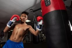 TITLE Boxing USA Leather Bag Gloves -Boxing Shop usabg replace the current