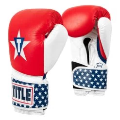 TITLE Boxing USA Leather Bag Gloves -Boxing Shop usabg 02