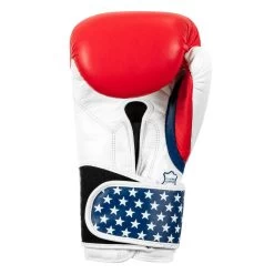 TITLE Boxing USA Leather Bag Gloves -Boxing Shop usabg 04