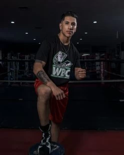 WBC By TITLE Boxing Flag Tee -Boxing Shop wbct2