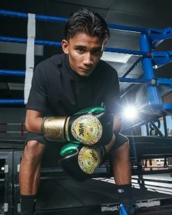 WBC By TITLE Boxing Green Belt Training Gloves 1.0 -Boxing Shop wgbtg bk 2 1